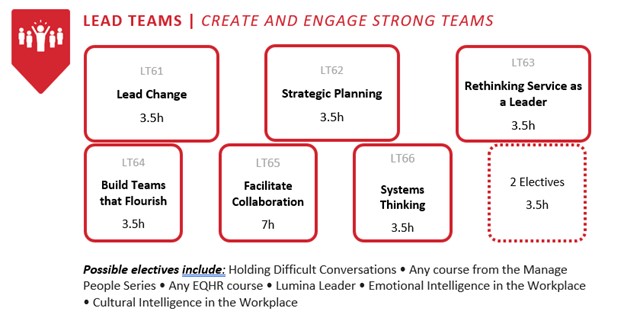 Lead Teams